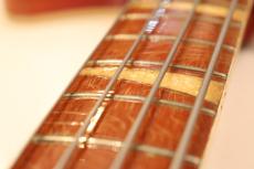 Rickenbacker 1967 4005 Fireglo "Toaster Pickups with Crushed Pearl Maker"_4