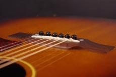 Gibson J-45_7