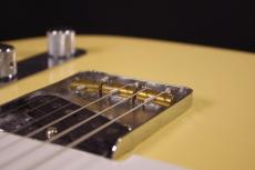 Fender American Performer Telecaster_6