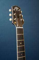 Stringphonic LeRoy SA-D / P90_6