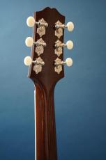 Stringphonic LeRoy SA-D / P90_7