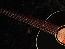 Gibson 50s J-45 Original : Ebony_5
