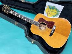 Guild D-55 NT 