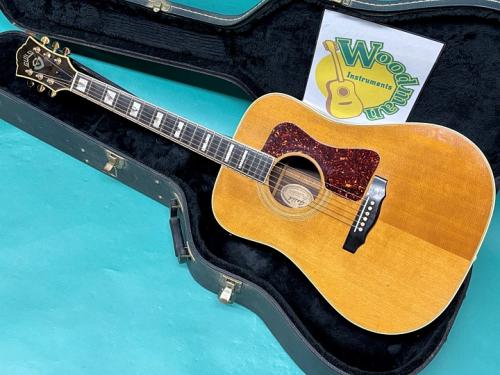 Guild D-55 NT 