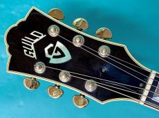 Guild D-55 NT _5