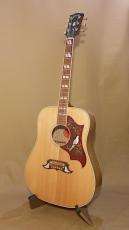 Gibson 60's DOVE
