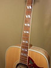Gibson 60's DOVE_8