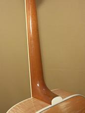 Gibson 60's DOVE_9