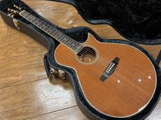 ESP THE ALFEE 30th Anniversary【2005年製】_2