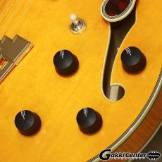 D'Angelico Excel Series Excel SS, Vintage Natural_8