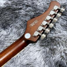 Bacchus BARON-STD/S GM -Global Series-【特価】【高級感のあるアーチトップ!】_6