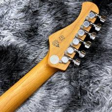 Bacchus BTE-ASH25 WRS/M NA -Global Series-【特価】【ローステッドボディ&ネック!】_6