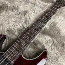 SCHECTER AD-C1-HR/LH BCH HELLRAISER C-1 【左利き】【現物画像】【最大36回分割無金利キャンペーン実施中】_9