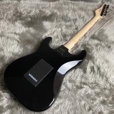 SCHECTER OL-ST-22 -ALL B/R【JAPAN ORIGINAL LINE】【現物画像】【最大36回分割無金利キャンペーン実施中】_6