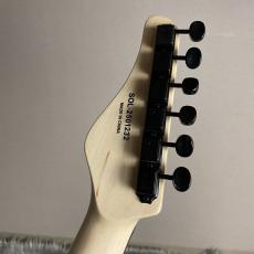 SCHECTER OL-ST-22 -ALL B/R【JAPAN ORIGINAL LINE】【現物画像】【最大36回分割無金利キャンペーン実施中】_8