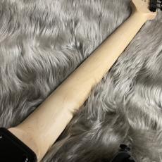 SCHECTER OL-ST-22 -ALL B/R【JAPAN ORIGINAL LINE】【現物画像】【最大36回分割無金利キャンペーン実施中】_10