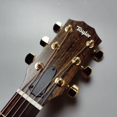 Taylor 【現物画像】EG-224ce Urban Ash エレアコギター/島村楽器オリジナルモデル_3