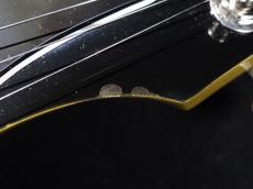 Gibson Les Paul Special TV Yellow_10
