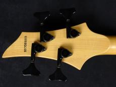 ESP Forest STD Deep Candy Apple Red 2007_9