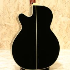 Takamine DMP500-6 BL 2011_2