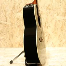 Takamine DMP500-6 BL 2011_4