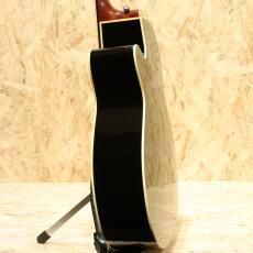 Takamine DMP500-6 BL 2011_5