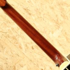 Takamine DMP500-6 BL 2011_7