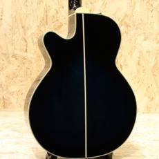 Takamine TDP500-6 DBS 2017_2