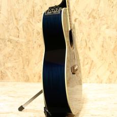 Takamine TDP500-6 DBS 2017_4