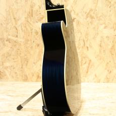 Takamine TDP500-6 DBS 2017_5