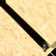 Takamine TDP500-6 DBS 2017_7