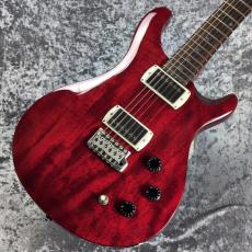 Paul Reed Smith [PRS] SE DGT STANDARD ~Vintage Cherry~ #CTI H051465 [3.25kg][2025年製]