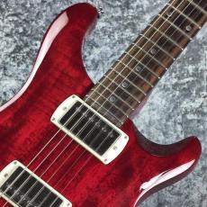 Paul Reed Smith [PRS] SE DGT STANDARD ~Vintage Cherry~ #CTI H051465 [3.25kg][2025年製]_2