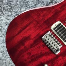 Paul Reed Smith [PRS] SE DGT STANDARD ~Vintage Cherry~ #CTI H051465 [3.25kg][2025年製]_3