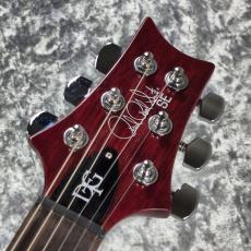 Paul Reed Smith [PRS] SE DGT STANDARD ~Vintage Cherry~ #CTI H051465 [3.25kg][2025年製]_6