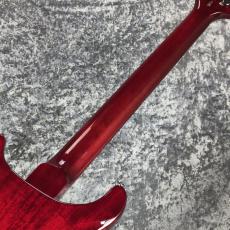 Paul Reed Smith [PRS] SE DGT STANDARD ~Vintage Cherry~ #CTI H051465 [3.25kg][2025年製]_8
