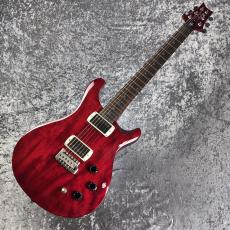 Paul Reed Smith [PRS] SE DGT STANDARD ~Vintage Cherry~ #CTI H051465 [3.25kg][2025年製]_10