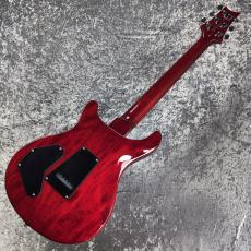Paul Reed Smith [PRS] SE DGT STANDARD ~Vintage Cherry~ #CTI H051465 [3.25kg][2025年製]_11