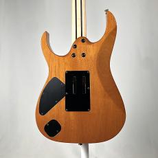 Ibanez 【日本製】【Ibanezの最高峰モデル j.custom】RG8570MH -Natural-《即納可》_10