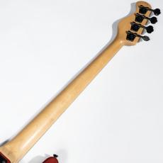 Sadowsky 1990JB_8