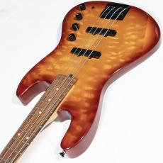 Sadowsky 1990JB_9