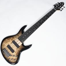 Miura Guitars USA MBR 6st BM/ASH_2