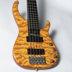 Modulus Modulus Q5