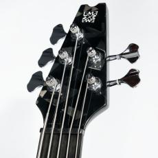 Modulus Modulus Q5_4