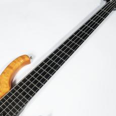 Modulus Modulus Q5_7