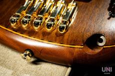 Ibanez SR1205 / 2015_8
