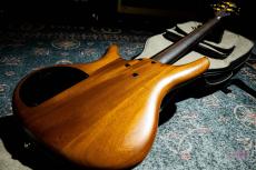 Ibanez SR1205 / 2015_10