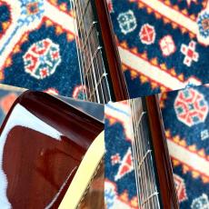 Godin 【スリムボディ】Multiac Steel Duet Ambiance KOA【最大48回分割無金利】_9