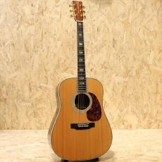 Martin D-45 2005_3