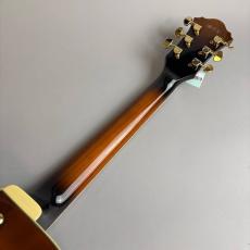 Ibanez AF95 VLS_7